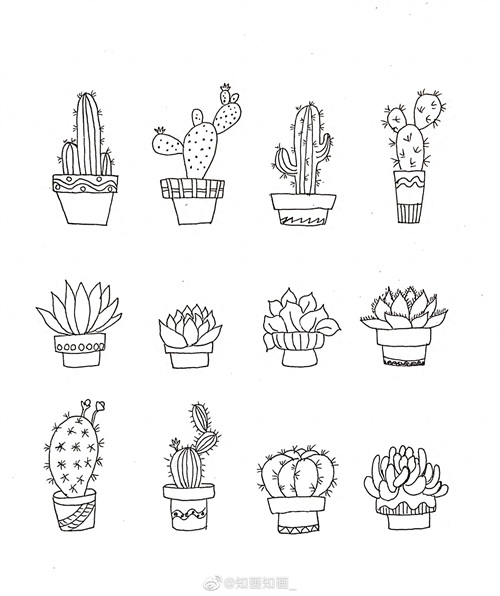 来一波实用又简单的手账盆栽绘画素材，既能自己用还能教孩子画画