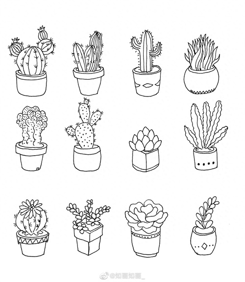 来一波实用又简单的手账盆栽绘画素材，既能自己用还能教孩子画画