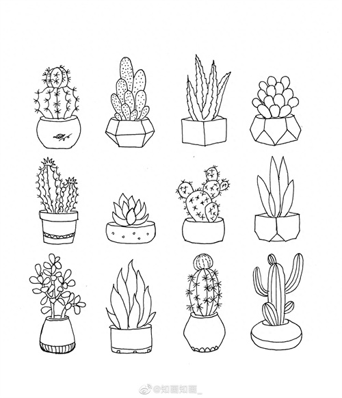 来一波实用又简单的手账盆栽绘画素材，既能自己用还能教孩子画画