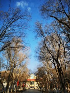 ​乌鲁木齐外国语学校简介