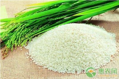 ​2018年1月5日全国稻谷大米价格最新行情分析