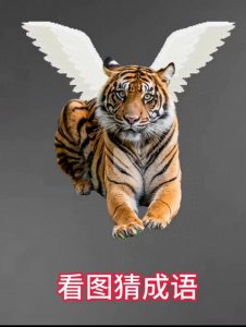 ​趣味看图猜成语【第五期】仔细观察图片，答案就在图片中！