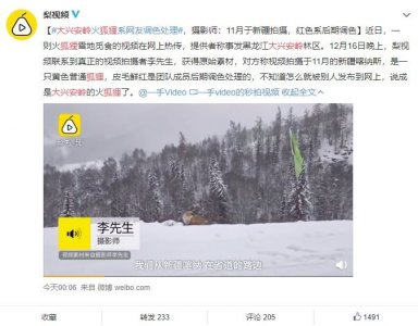 ​大兴安岭现火狐狸？百余个传谣者仅有一成多参与辟谣