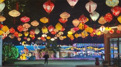 ​许你灯火璀璨 成都蔚然花海丰富多彩新春活动来袭